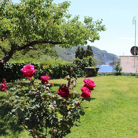 Noufaro Paleokasztríca