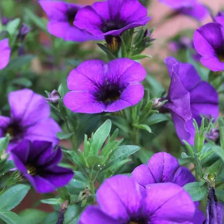 アパート Noufaro